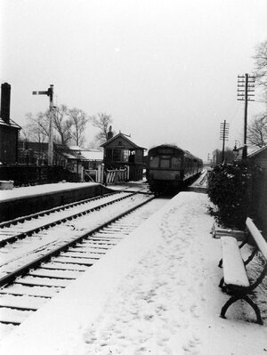 IMG_5885.jpeg IMG_5885.jpeg