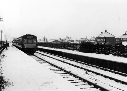 IMG_5886.jpeg IMG_5886.jpeg