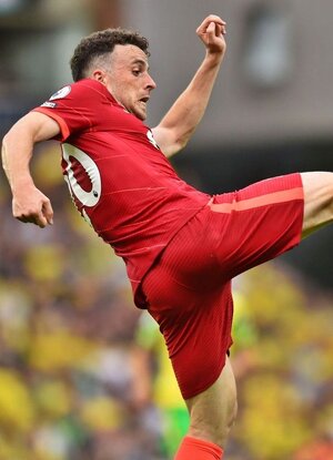 Diogo Jota 2022.jpeg