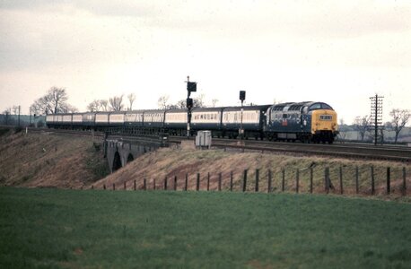 IMG_3881.jpeg IMG_3881.jpeg