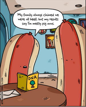 Screenshot 2026-01-28 at 18-02-10 Instagram.png