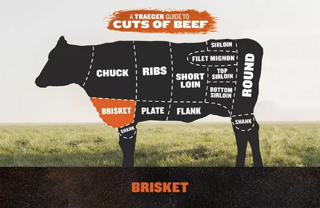 BEEF_Brisket-cut-diagram.webp