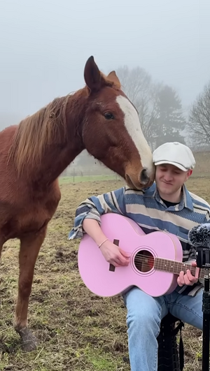 Screenshot 2026-02-06 135526.png