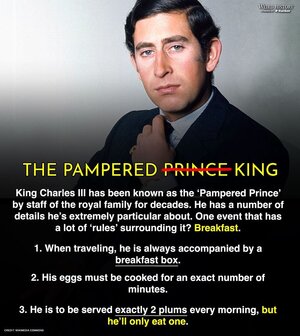 The Strangest Things King Charles III Is Very Particular About.jpeg