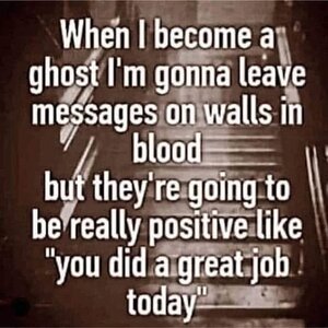 amityville honor.jpg