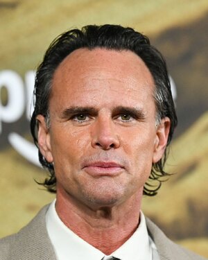 licensed-image (6).jpeg