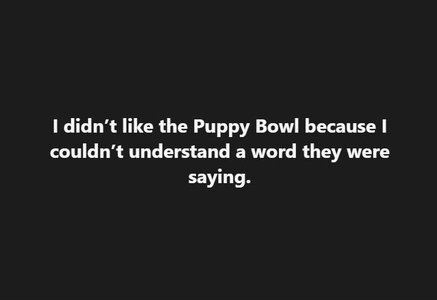 Puppy Bowl.jpg