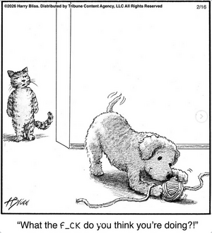 Screenshot 2026-02-17 at 16-55-45 Instagram.png