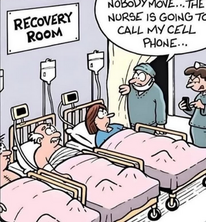 Screenshot 2026-02-18 at 04-09-11 Instagram.png