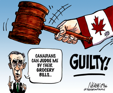 Screenshot 2026-02-20 at 07-18-09 Cagle.com.png