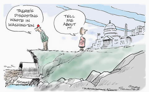 Screenshot 2026-02-20 at 12-18-20 Opinion Dana Summers cartoon on the waste in the Potomac and...png