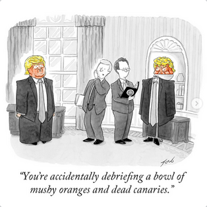 Screenshot 2026-02-21 at 12-42-40 Instagram.png