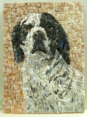 Lina's dog Arianna Gallo.jpg