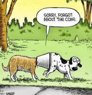 Screenshot 2026-02-19 at 18-03-40 Instagram.png