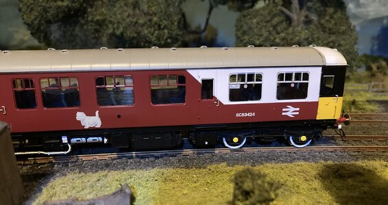 IMG_8324_Original.jpeg IMG_8324_Original.jpeg