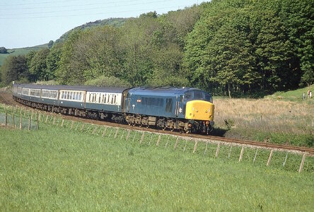 54322020374_d267a97c3d_h_Original.jpeg 54322020374_d267a97c3d_h_Original.jpeg