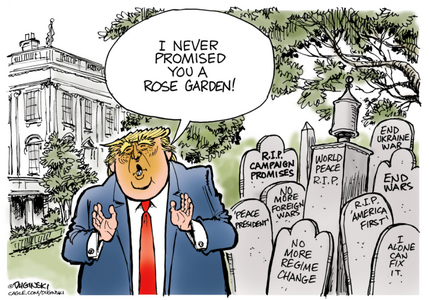 Screenshot 2026-02-28 at 13-52-55 Cagle.com.png