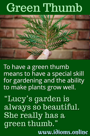 green-thumb-idiom-meaning.png