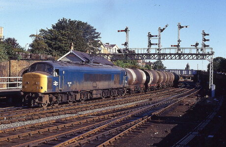 54320894957_fbcdd5f4f7_h_Original.jpeg 54320894957_fbcdd5f4f7_h_Original.jpeg