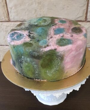moldy-birthday-cake-v0-hhhg45qwxrhf1.jpeg