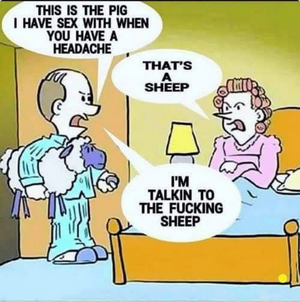 Screenshot 2026-02-24 at 17-10-23 Instagram.png