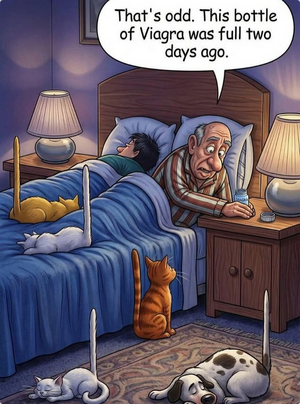 Screenshot 2026-03-07 at 11-32-43 Instagram.png