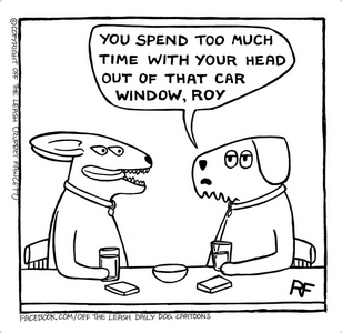 Screenshot 2026-03-07 at 11-29-24 Instagram.png