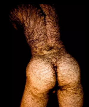 2018-12-15 at 11-04-13.png