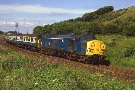 54240755596_575dc57f70_h_Original.jpeg 54240755596_575dc57f70_h_Original.jpeg