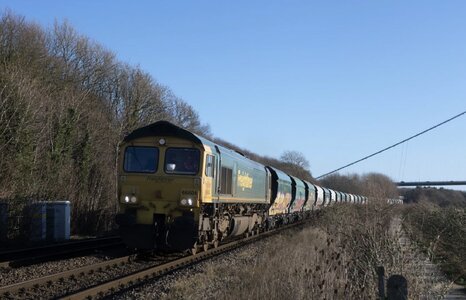 IMG_3537.jpeg IMG_3537.jpeg