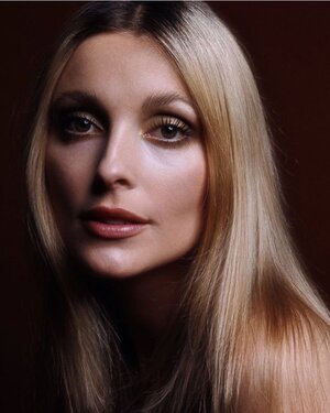 sharon_tate.jpg