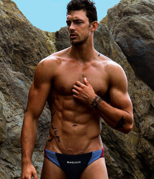 speedo1.jpg