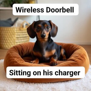doorbell.jpg
