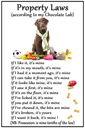 property laws.jpg