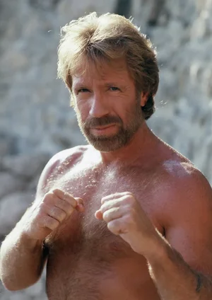 lacteur-ricain-chuck-norris-fait-1067938308 (1).webp