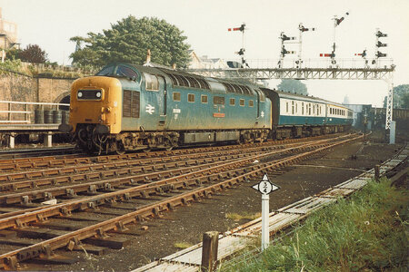 53536650619_fc2e215b9c_h_Original.jpeg 53536650619_fc2e215b9c_h_Original.jpeg