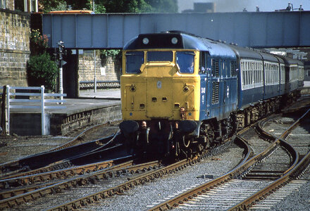 53529087591_e94abc9a62_h_Original.jpeg 53529087591_e94abc9a62_h_Original.jpeg