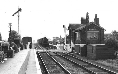 IMG_5948.jpeg IMG_5948.jpeg