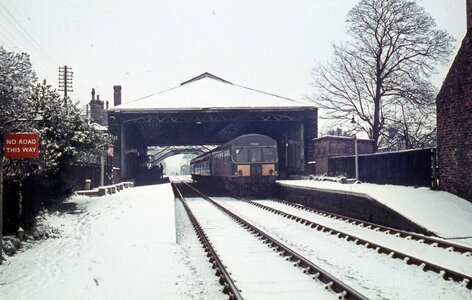 IMG_5911.jpeg IMG_5911.jpeg