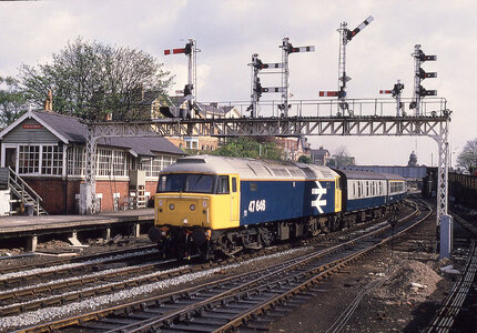 53525203550_312d261f48_h_Original.jpeg 53525203550_312d261f48_h_Original.jpeg