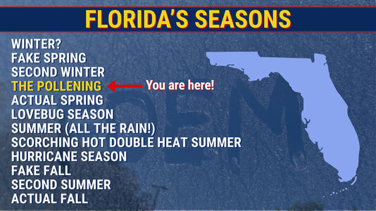 Florida Seasons.jpg