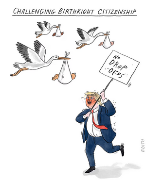 Screenshot 2026-04-02 at 14-31-12 Opinion Edith Pritchett cartoon on Trump Supreme Court birth...png