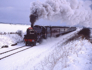 1000012620.jpg 1000012620.jpg