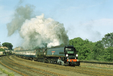 1000012757.jpg 1000012757.jpg