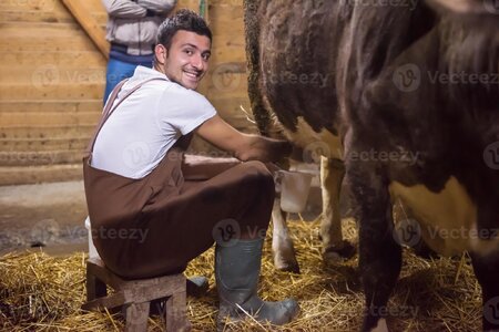 farmer-milking-dairy-cow-by-hand-photo.jpeg