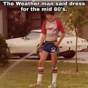 Dress for the mid 80s.jpg