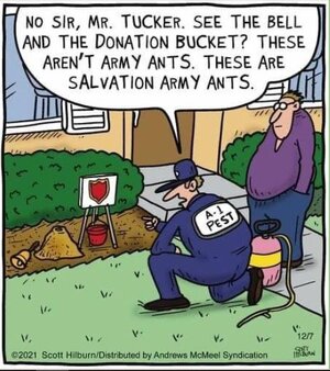Salvation Army Ants.JPG