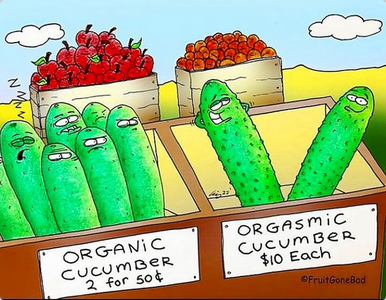 Screenshot 2026-04-18 at 10-10-44 Instagram.png