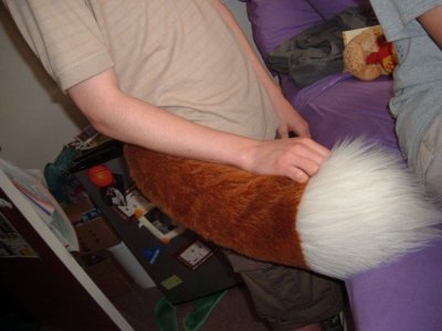 tail.jpg