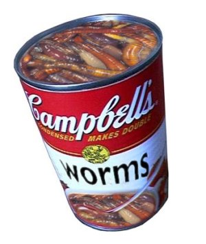 can of worms.JPG